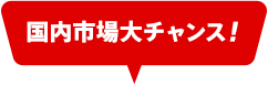 国内市場大チャンス！